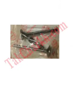 سوپاپ موتورسیکلت T 125 رادیسون برند تکنو